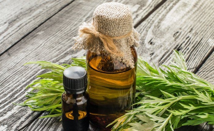 روغن خراطین روغن خراطین
