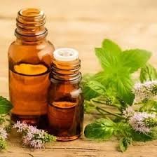 روغن بادرنجبویه روغن بادرنجبویه