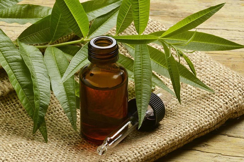 روغن حنا روغن حنا