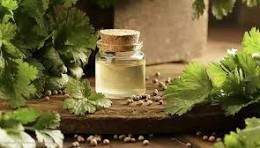 روغن گشنیز روغن گشنیز