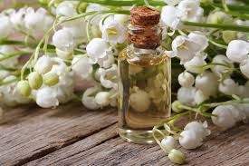 روغن سوسن روغن سوسن