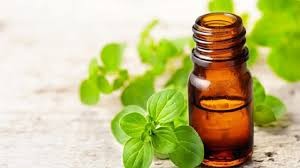 روغن مرزنجوش روغن مرزنجوش