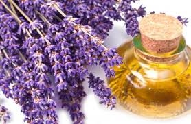روغن اسطوخدوس روغن اسطوخدوس