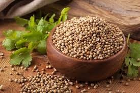 تخم گرد گشنیز تخم گرد گشنیز