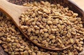 تخم شنبلیله تخم شنبلیله