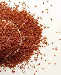 تخم تره شاهی تخم تره شاهی