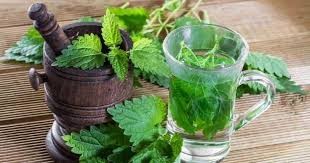 عصاره گزنه (زرد بند) عصاره گزنه (زرد بند)