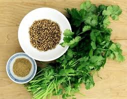 عصاره گشنیز عصاره گشنیز