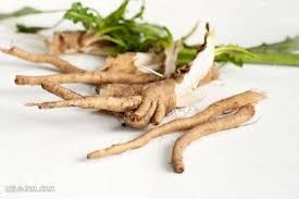 ریشه کاسنی ریشه کاسنی