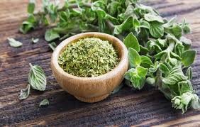 پونه کوهی پونه کوهی