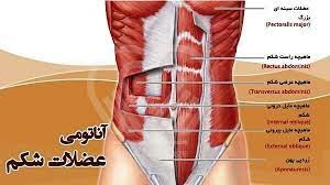 جراحی دیواره شکم: همه آنچه باید بدانید جراحی دیواره شکم: همه آنچه باید بدانید