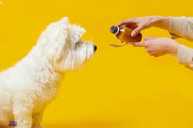 موادغذایی مولتی‌ ویتامین‌ها و مواد معدنی Pet-Tabs برای سگ ها
