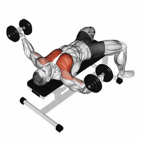ورزش انواع پرس سینه (Bench Press)، پرس بالا سینه و فلای