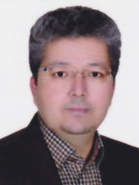 محمدعارف محمدی