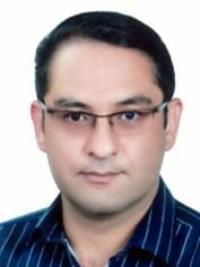 رضا میر رکنی