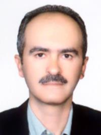 محسن  رستمی 